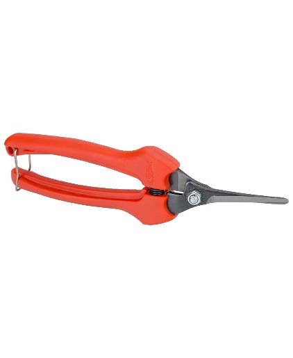 TIJERA DE VENDIMIA Y RECOLECCIÓN P129-19